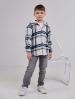 Класичні сірі джисни